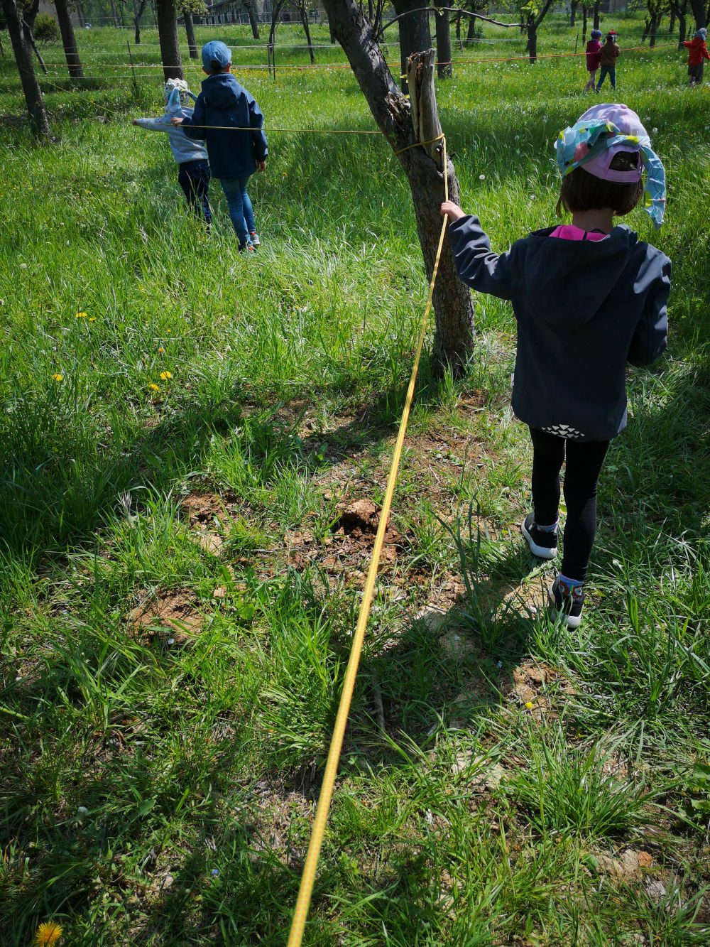 Kinder auf Wiese